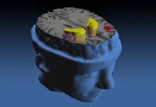 Il primo cervello artificiale entro il 2019? 5 brain