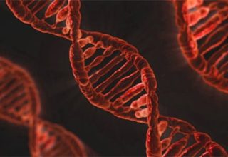 dna